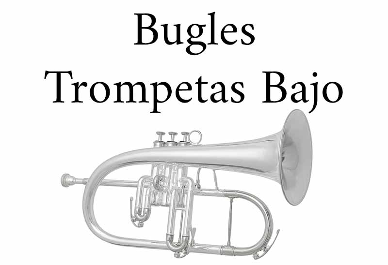 Imagen de categoría de Bugles