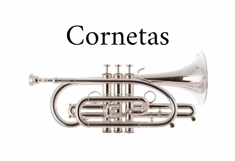 Imagen de categoría de cornetas