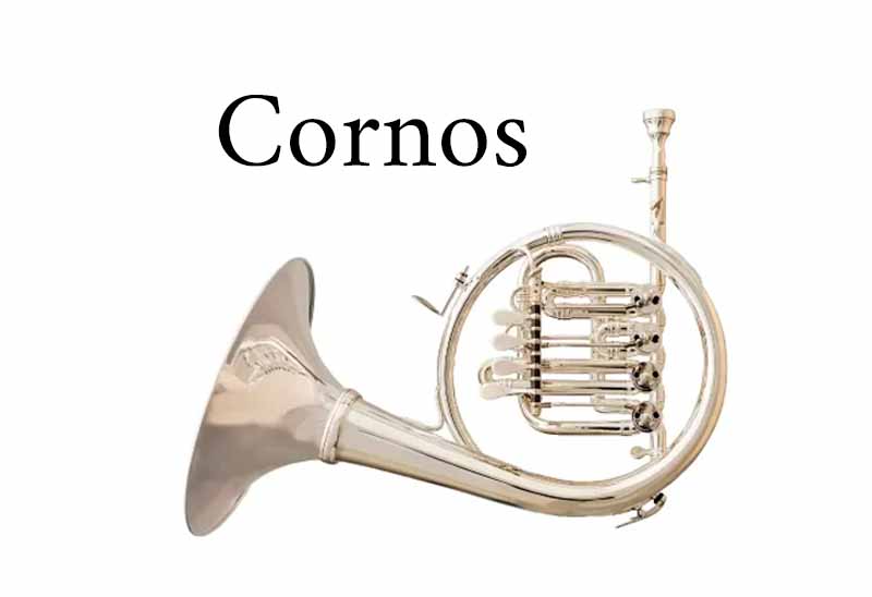 Imagen de categoría de cornos